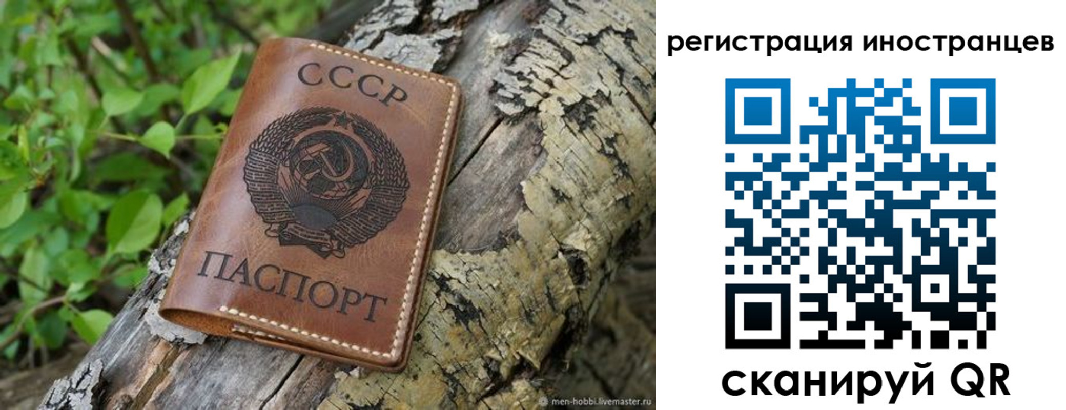 временная регистрация в Черняховске